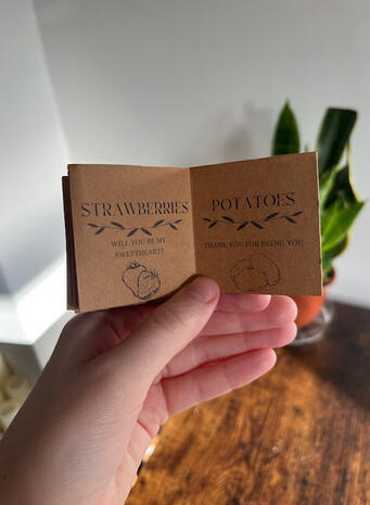 The Language of Giving From the Garden - Inspired by Victorian guides to flower gifting, this zine defines the meaning of when your neighbor's gifted tomatoes are a gesture of heart and when they just need to get rid of them