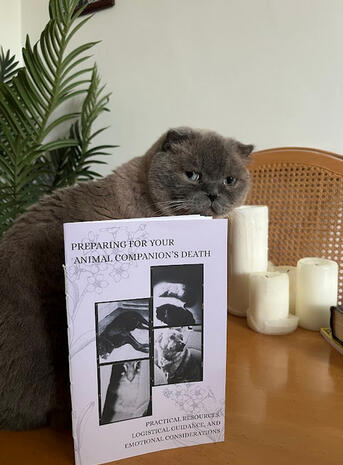 Preparing for Your Animal Companion’s Death - Understanding your options and the processes ahead of time will give you access to many more resources and can help you moor when the time comes.