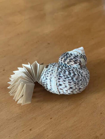 Ariel’s Song from The Tempest by William Shakespeare as a petal-fold from a seashell with coffee stained paper